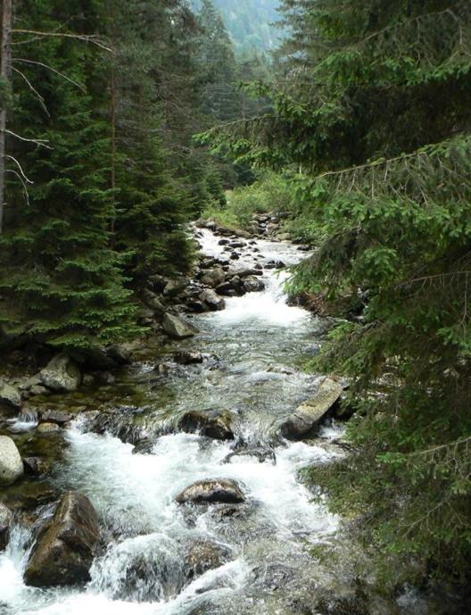 Eagle Rock View Apartment, Borovets Бели искър Екстериор снимка